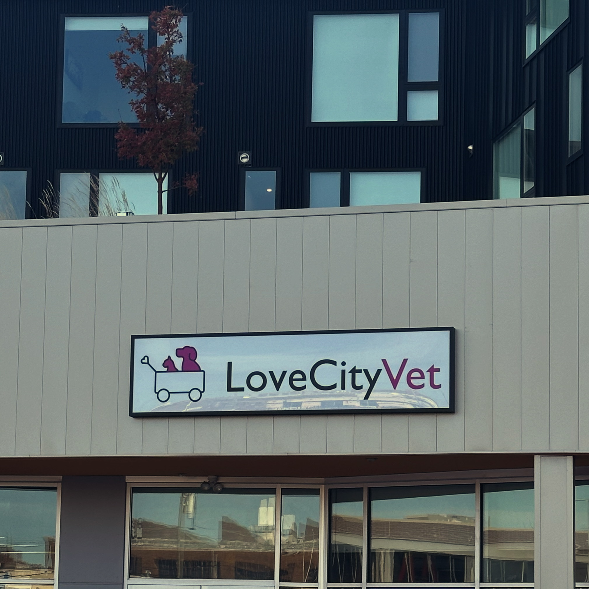  Love City Vet building front