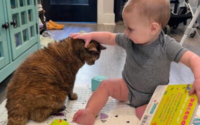 How to Prepare Your Dog or Cat for a New Baby: A Vet’s Safety Guide for Expecting Parents