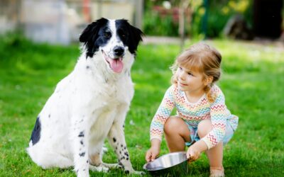 Your Dog’s Summer Just Ended. School Starts August 24